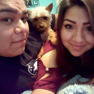 Meet your Posher, Rocky